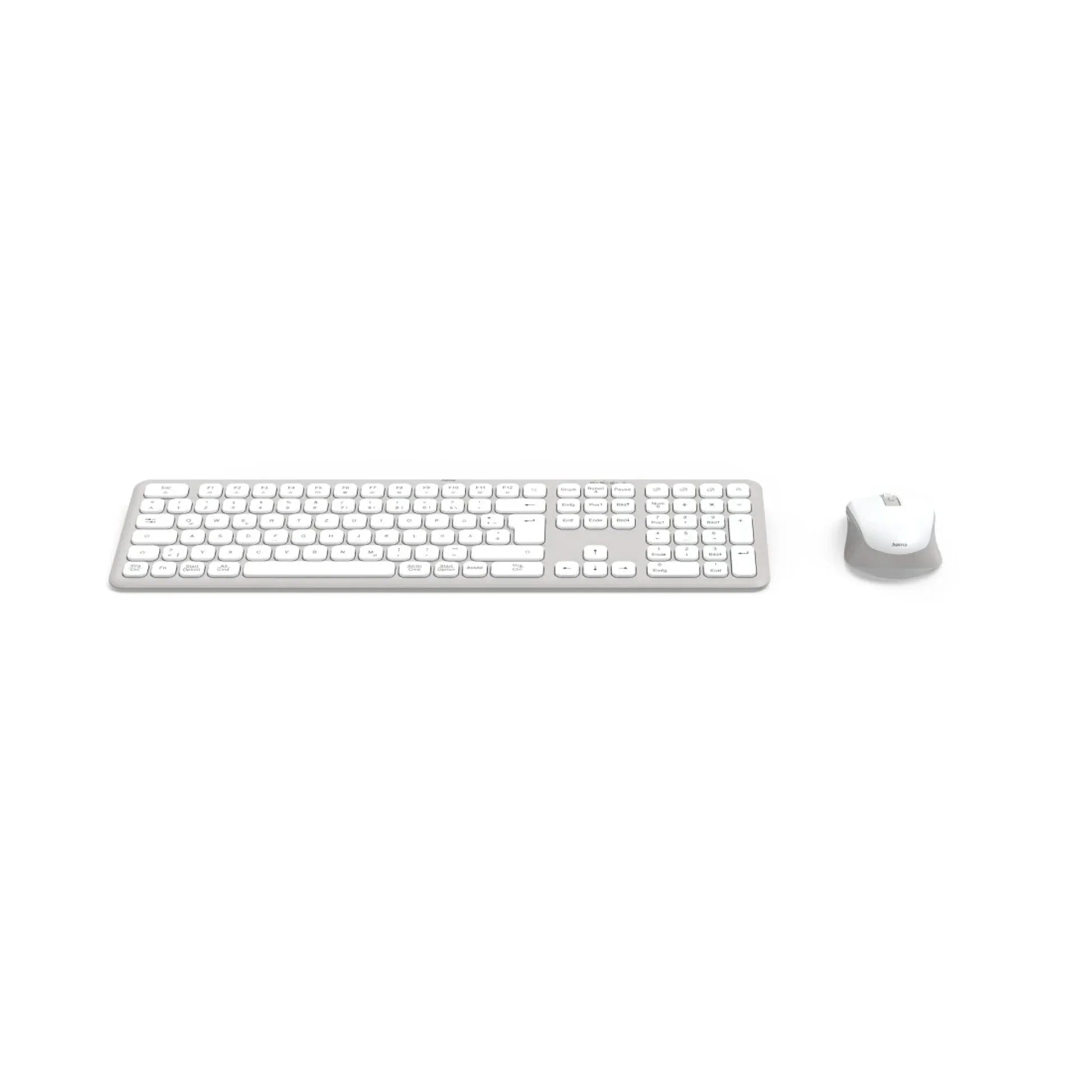 #color_White