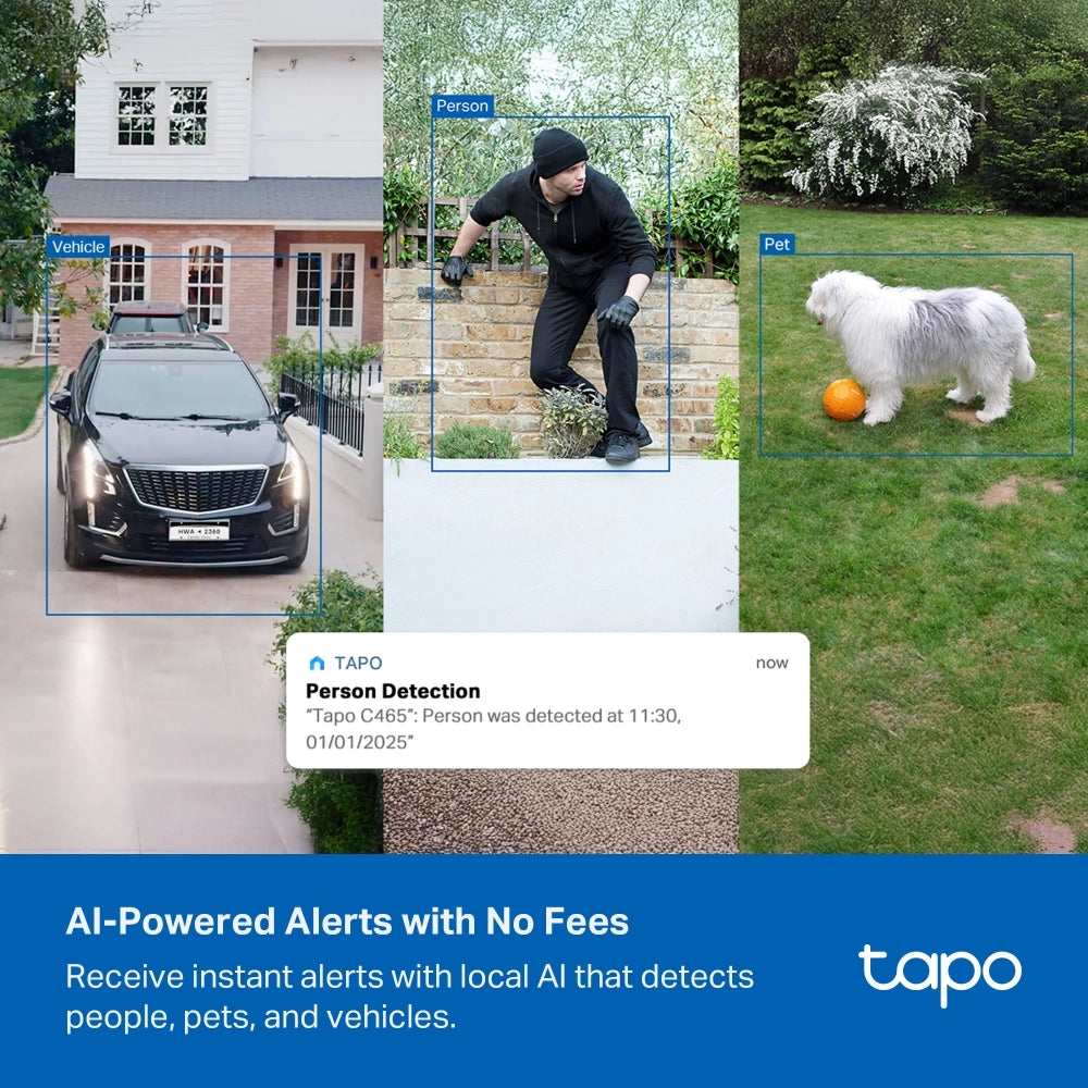 TP-Link Tapo C465 Battery-Powered Security Camera with Built-In Solar Panel